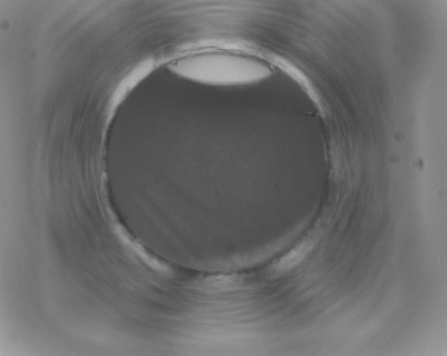 X0000077371373200611171938