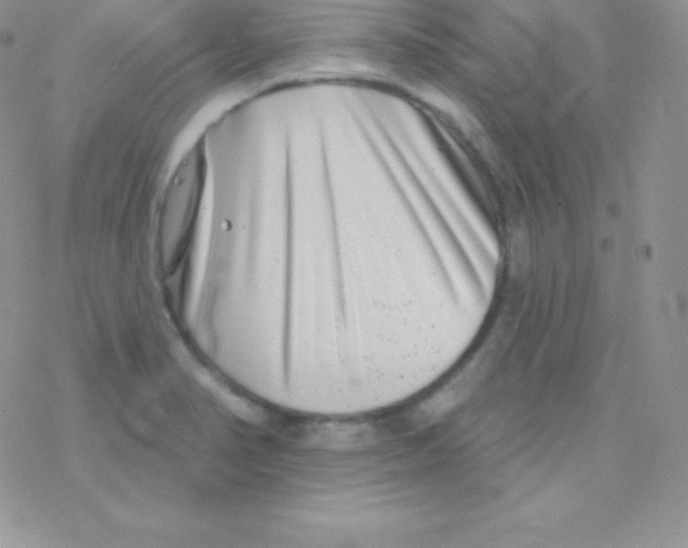 X0000077371374200611171938