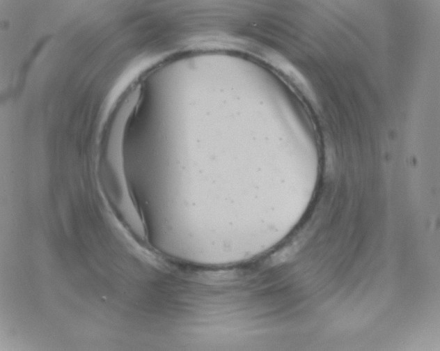 X0000077371376200611171938