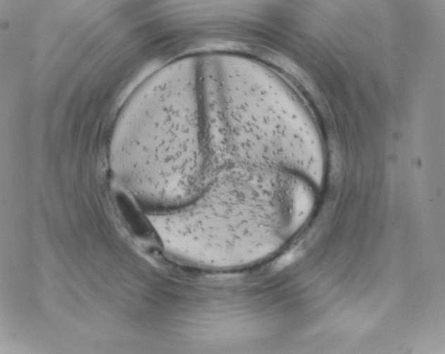 X0000077371377200611171938