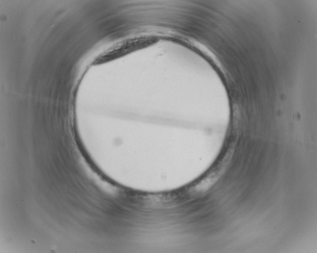 X0000077371379200611171938