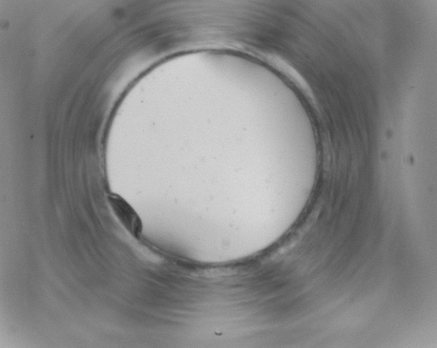 X0000077371380200611171938