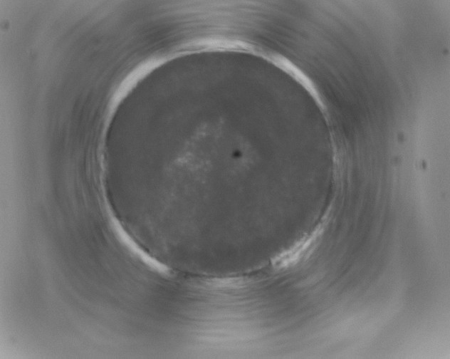 X0000077371381200611171938