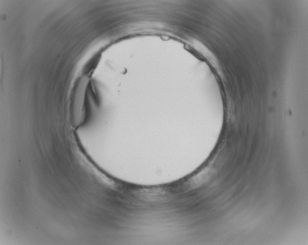 X0000077371384200611171938