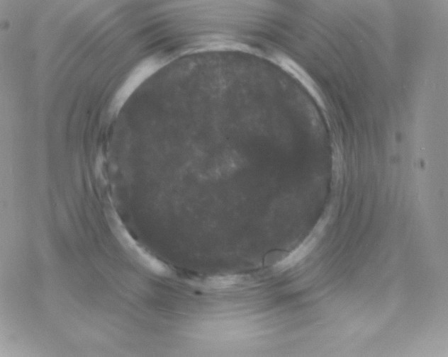 X0000077371385200611171938