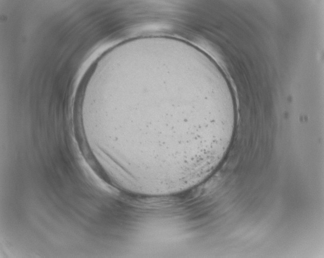 X0000077371392200611171938