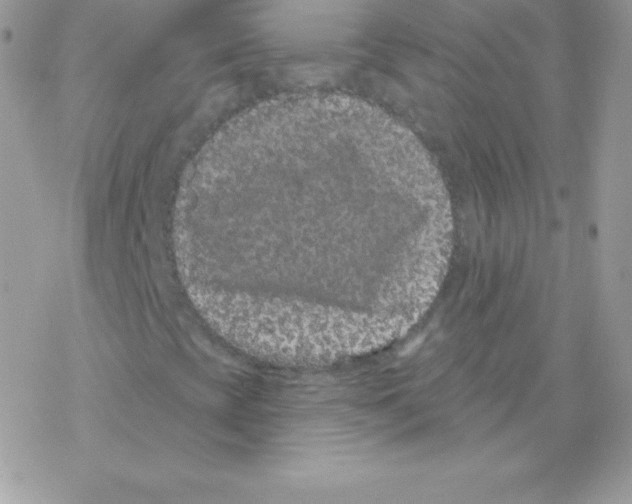 X0000077371393200611171937