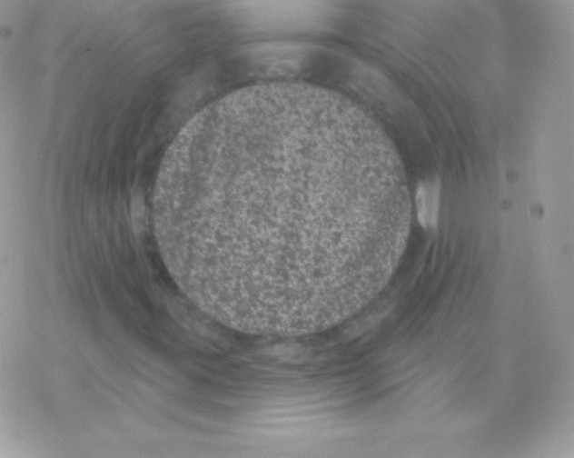 X0000077371395200611171937