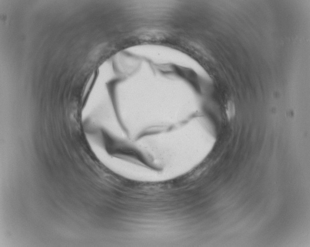 X0000077371396200611171937