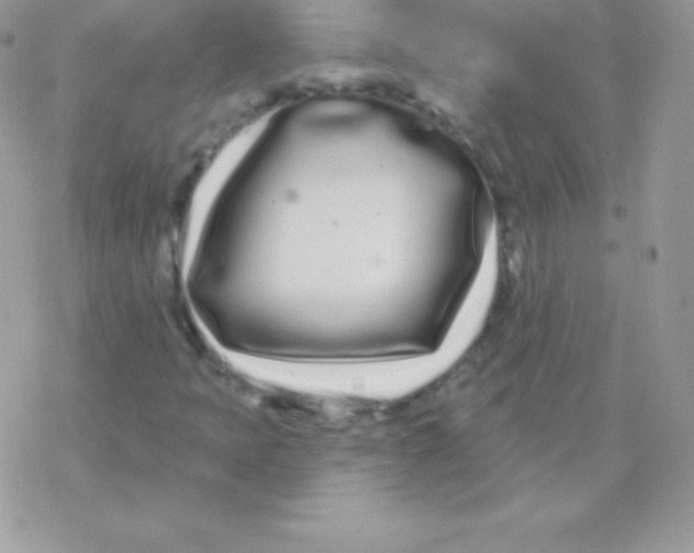 X0000077371397200611171937