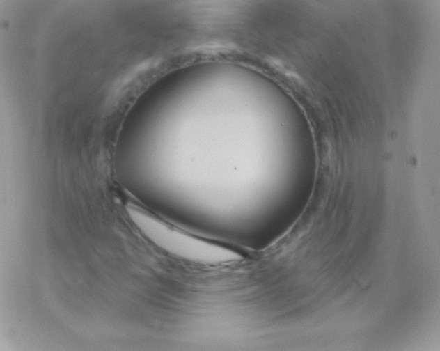 X0000077371398200611171937