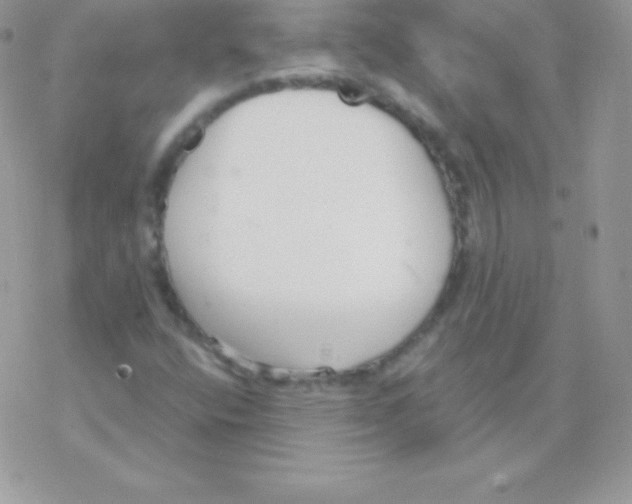 X0000077371400200611171937