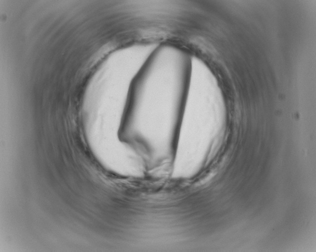 X0000077371401200611171937