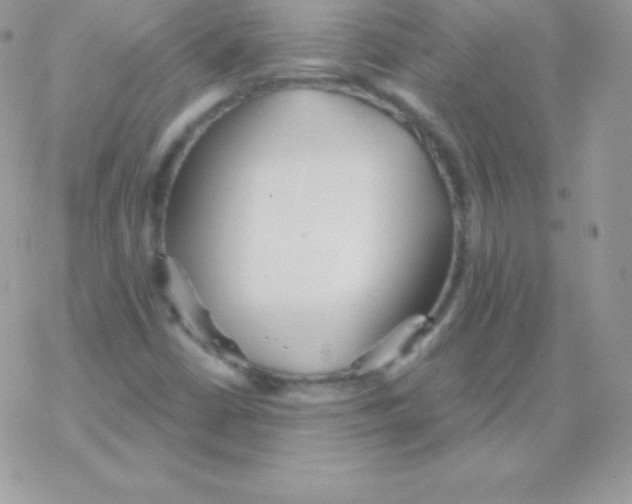 X0000077371402200611171937