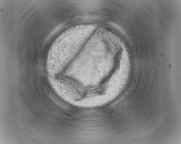 X0000077371403200611171937