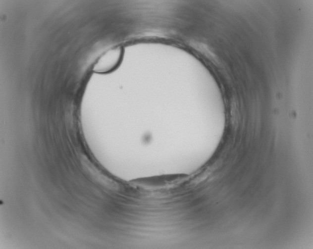 X0000077371404200611171937