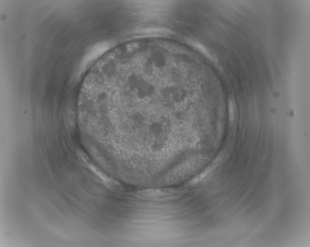 X0000077371405200611171937