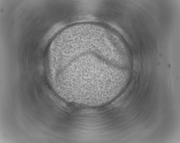 X0000077371407200611171937