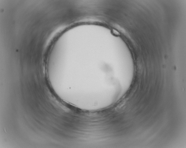 X0000077371408200611171937