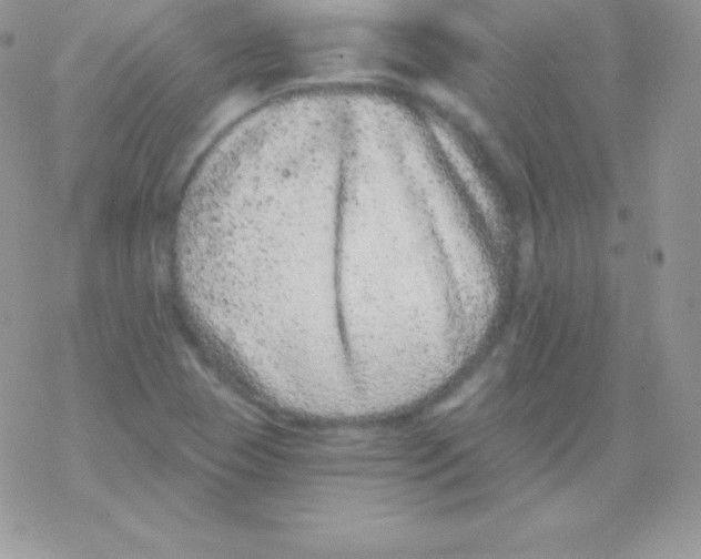 X0000077371409200611171937