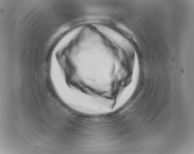 X0000077371411200611171937