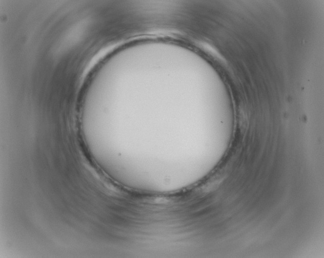 X0000077371412200611171937