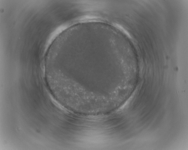 X0000077371413200611171937