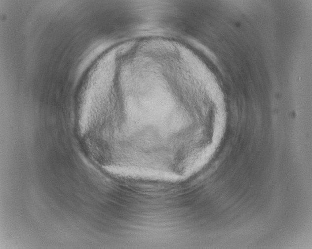 X0000077371415200611171937