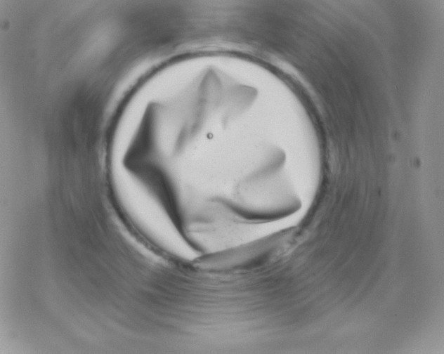 X0000077371416200611171937