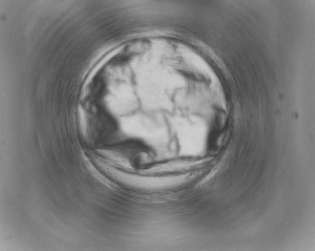 X0000077371417200611171937