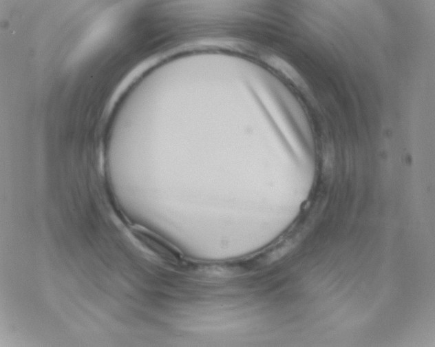 X0000077371420200611171937