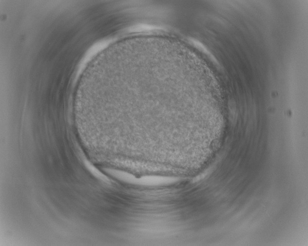 X0000077371421200611171937