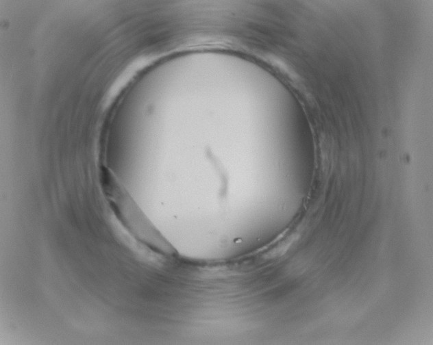 X0000077371422200611171937