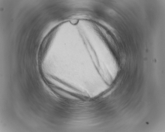 X0000077371423200611171938