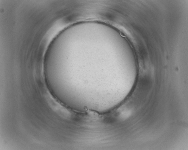 X0000077371424200611171938