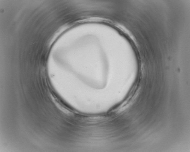 X0000077371425200611171938