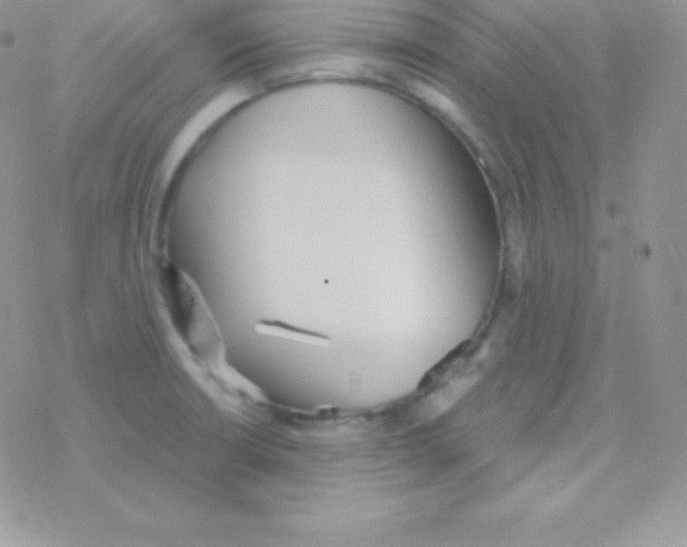 X0000077371426200611171938