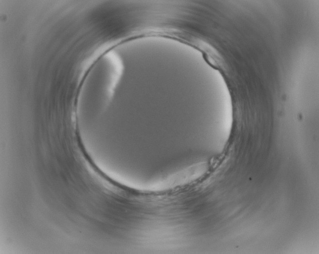 X0000077371428200611171938