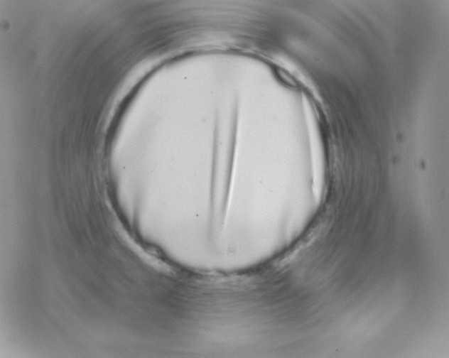 X0000077371429200611171938