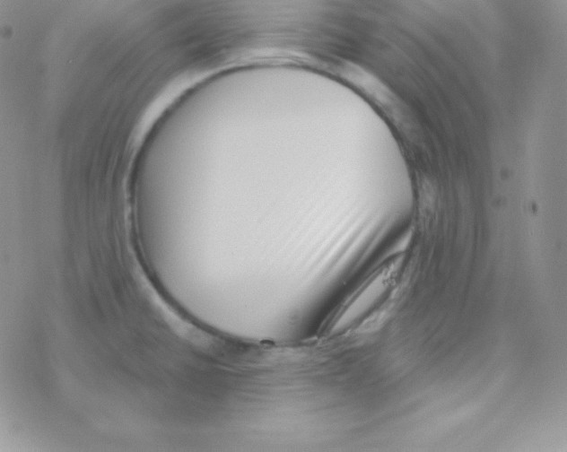 X0000077371430200611171938