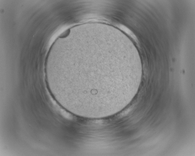 X0000077371431200611171938