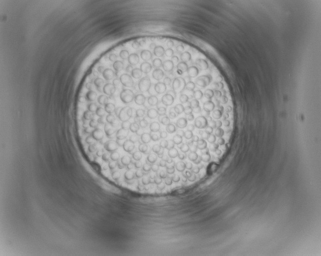 X0000077371432200611171938