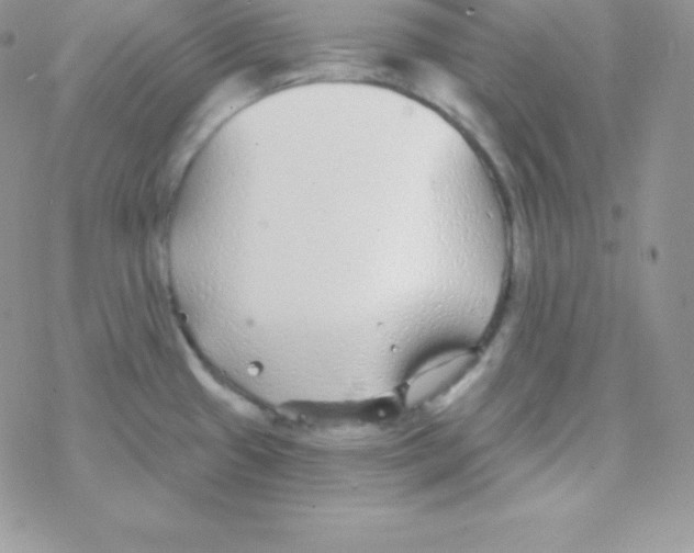 X0000077371433200611171938