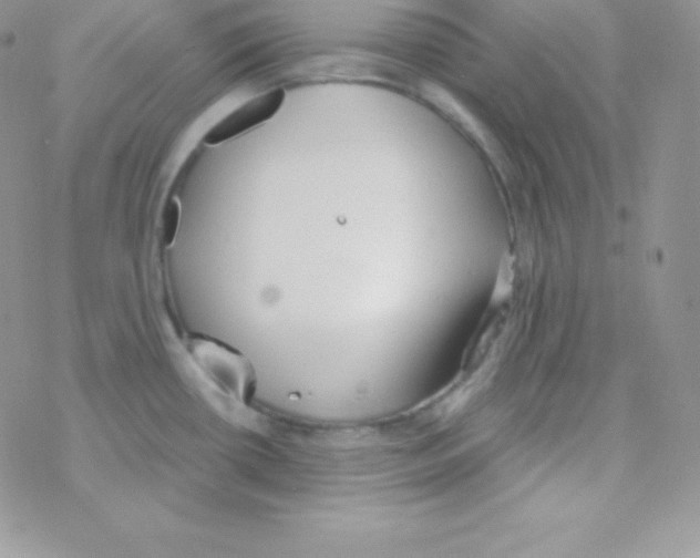 X0000077371434200611171938