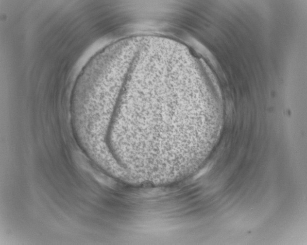 X0000077371435200611171938