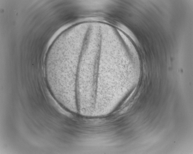 X0000077371436200611171938