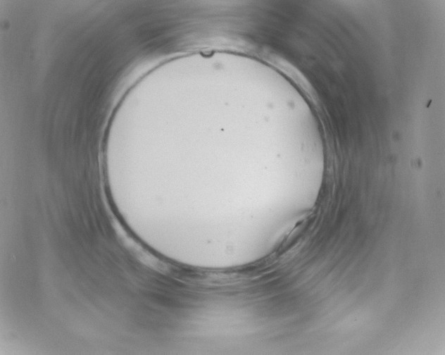 X0000077371439200611171938