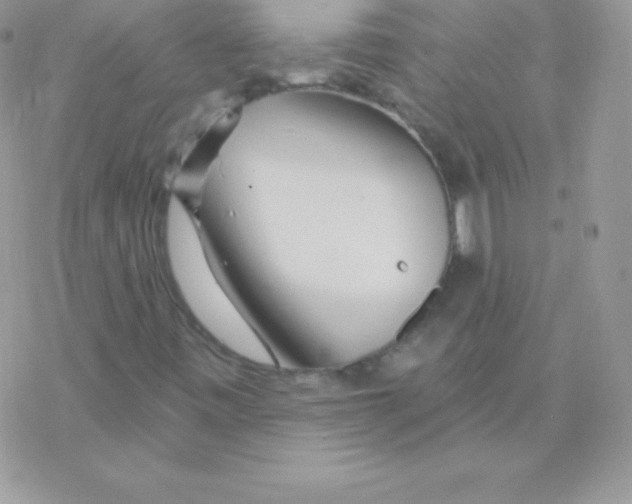 X0000077371443200611171937