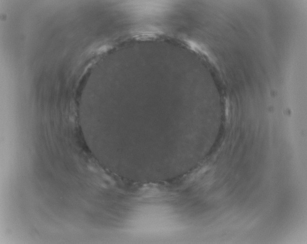 X0000077371445200611171937