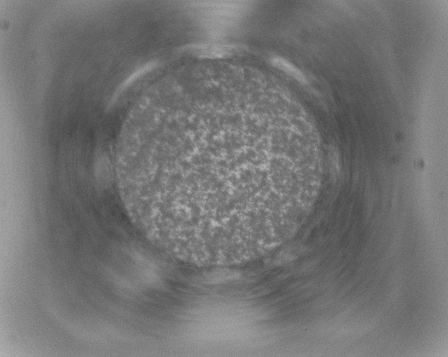 X0000077371446200611171937